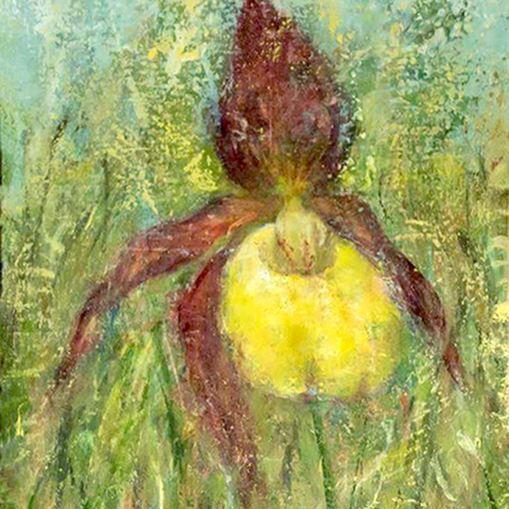 Lady's Slipper by Katrin Saag