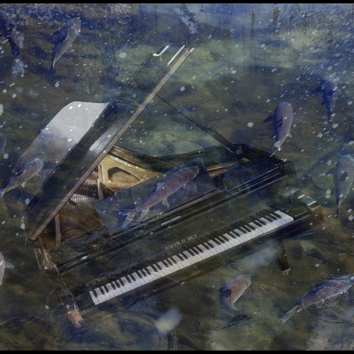 A sunken city. The death of Estonia by Tõnu Noorits