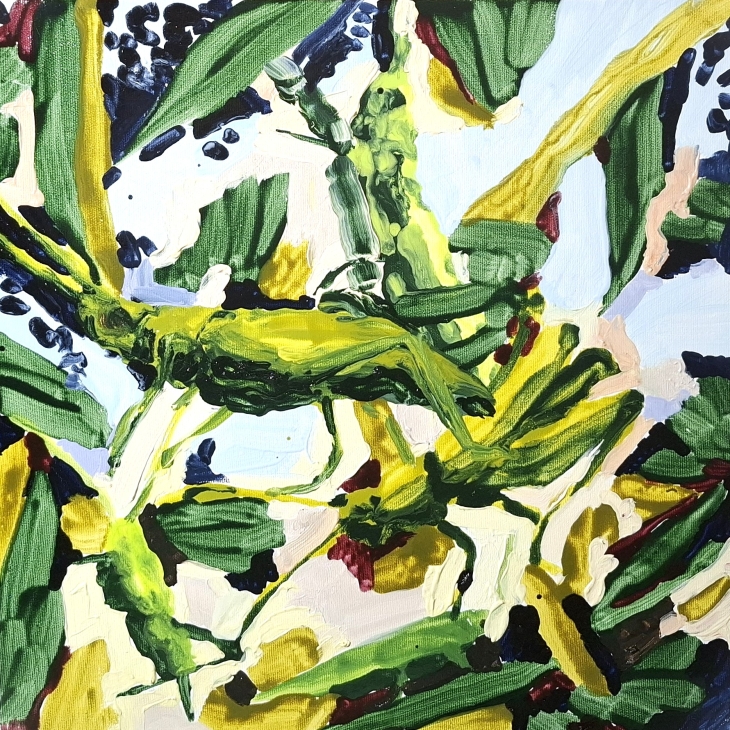 Rohutirtsud - Karin Strohm