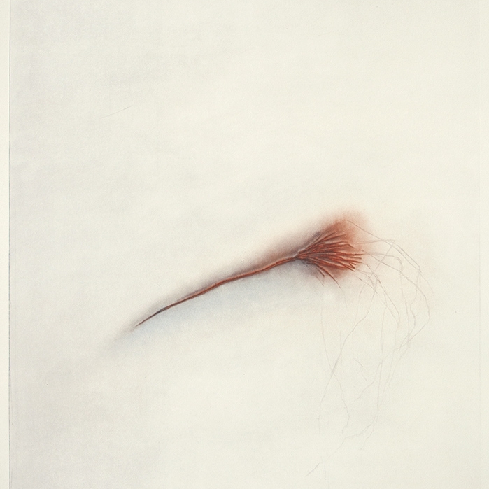 Kissing snow II by Virge Jõekalda