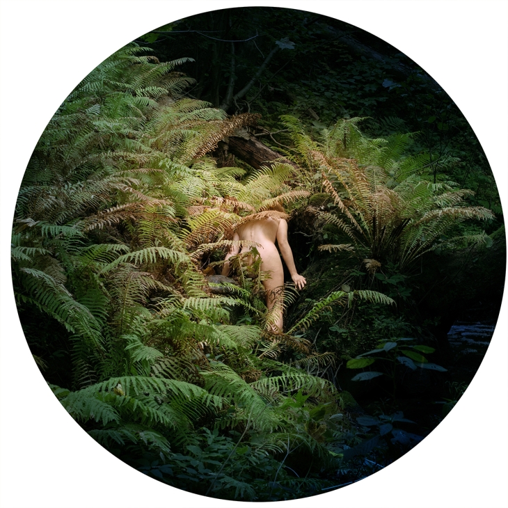 Fading into ferns, Liis Karu