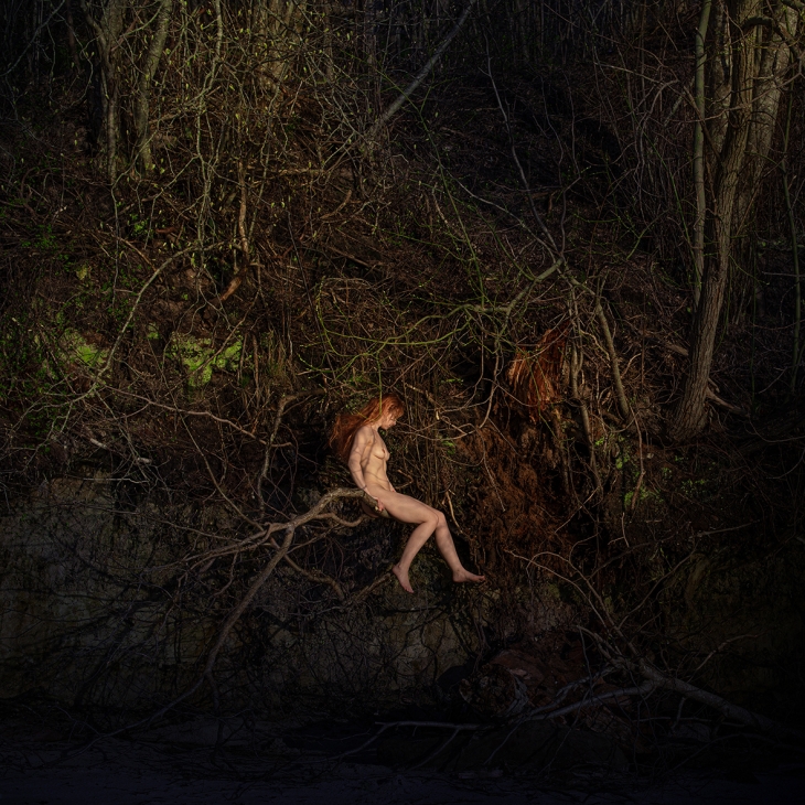 Between the Branches by Liis Karu