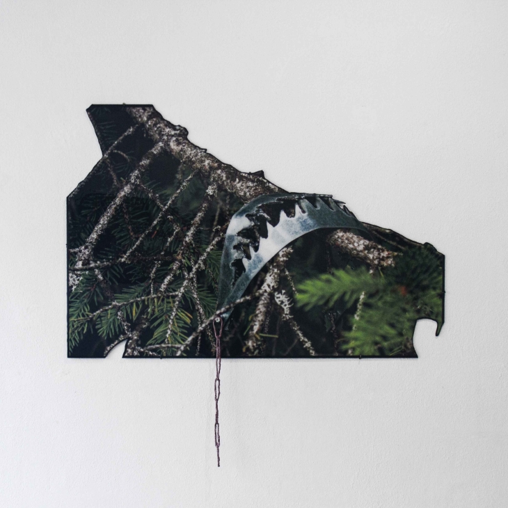 Unbound Nature I by Pille-Riin Jaik