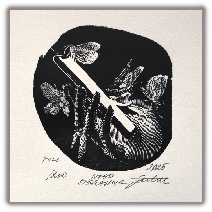 Pull by Reinis Gailītis