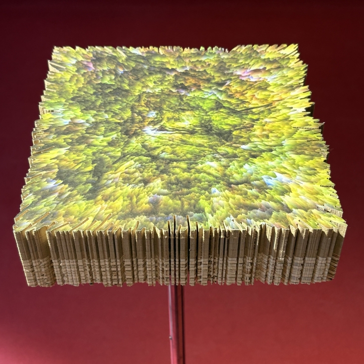 Algae - Johannes Luoma