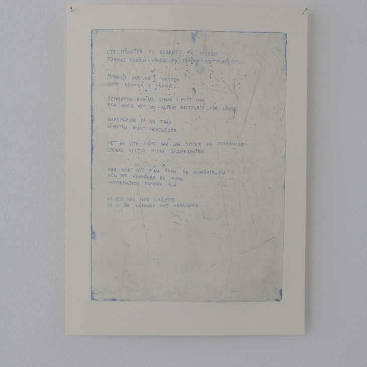 The platform - Tova Lilja