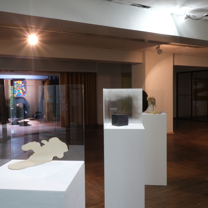 Images in three dimensions and perspectives - Liisa-Lota Jõeleht