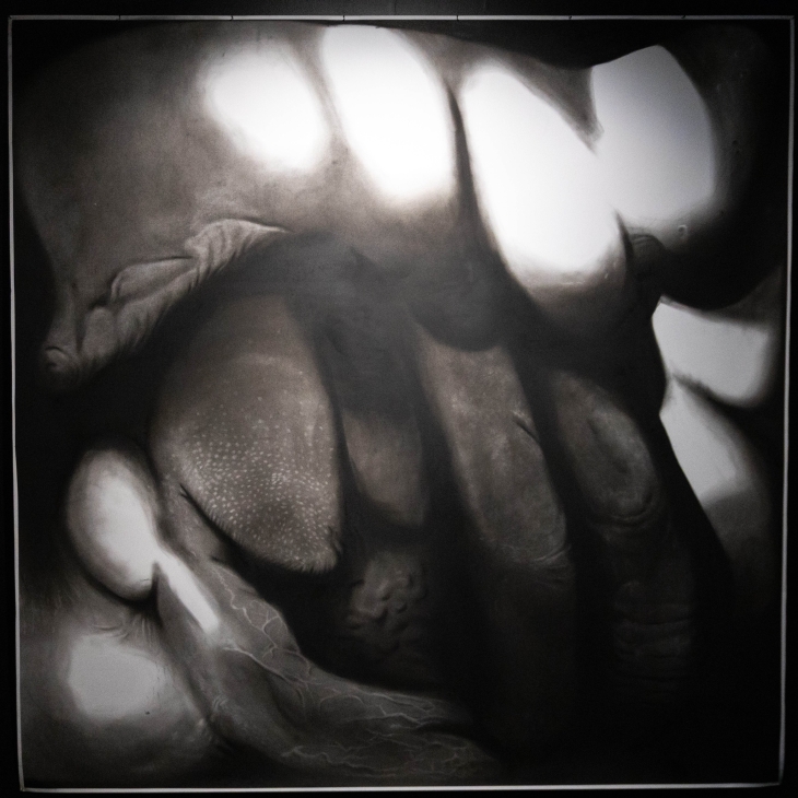 A little shadow which owes it's very existence to the light I by Sander Karjus