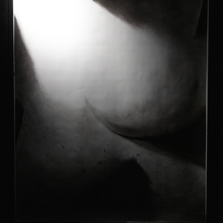 A little shadow which owes it's very existence to the light II - Sander Karjus