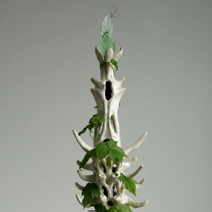 Anatomy of doubtful nature  - Johanna Sulalampi