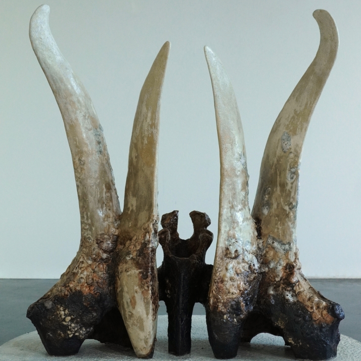 Remains from the VO⚀VO⚁VO⚂, Neuracornis magnus  - Johanna Sulalampi