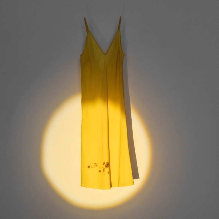 Sun Spots - Milda Paukštė