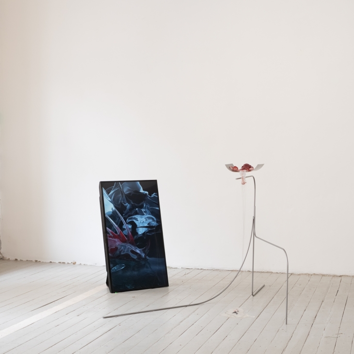 Cervix Obscura. Archive of the (Un)Touchability - Sofija Laurušonytė