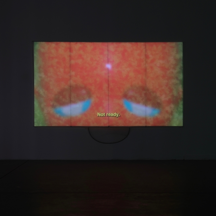 9th star supernova - Johanna Kim