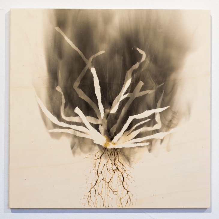 UPROOTING by Arta Raituma