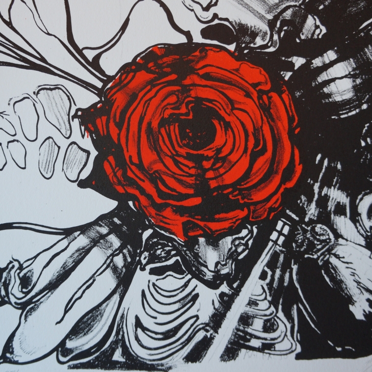 Red Rose by Kai Kaljo