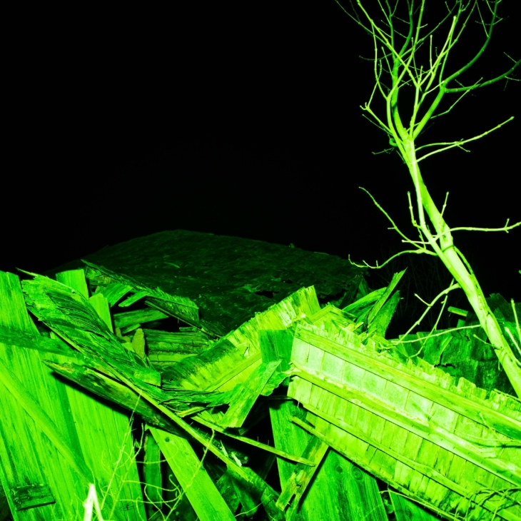 Young growing shoots slowly take over the building. I imagine how the rural folk might have been just as tired from their hard work as this house now left to rest. - Signe Pärn