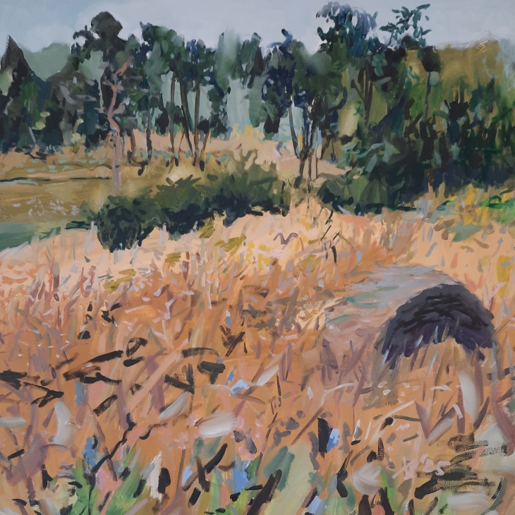 the meadow. 21.july by Liva Blumfelde