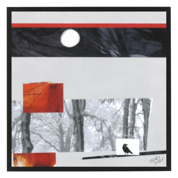 The Way Home by Siiri Kängsepp