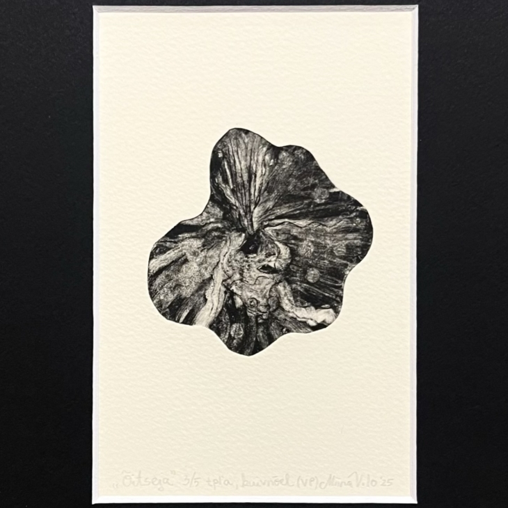 Bloomer by Miina Vilo