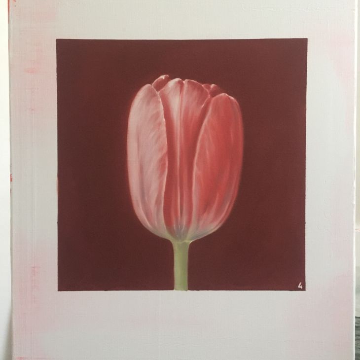 Tulip 4 by Ivar Kaasik