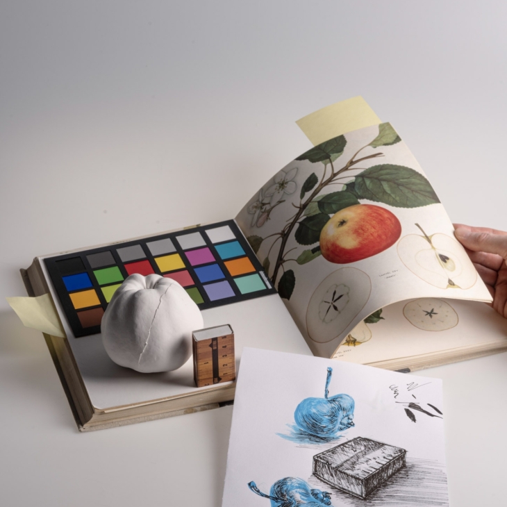 Model Apples by Kristina Norman