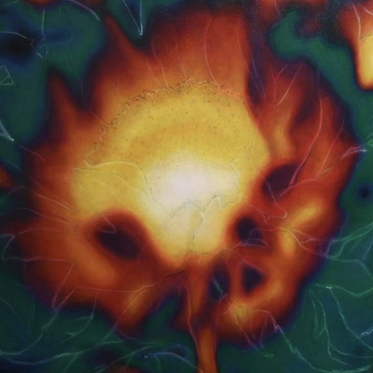 Lumelill - Margot Õunapuu