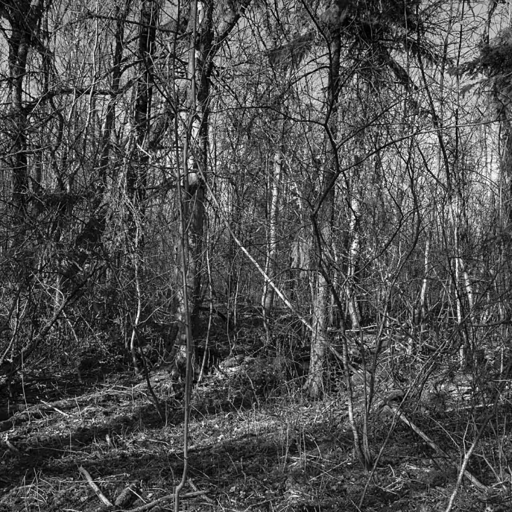 Kurese 2015 3293 - Arne Maasik