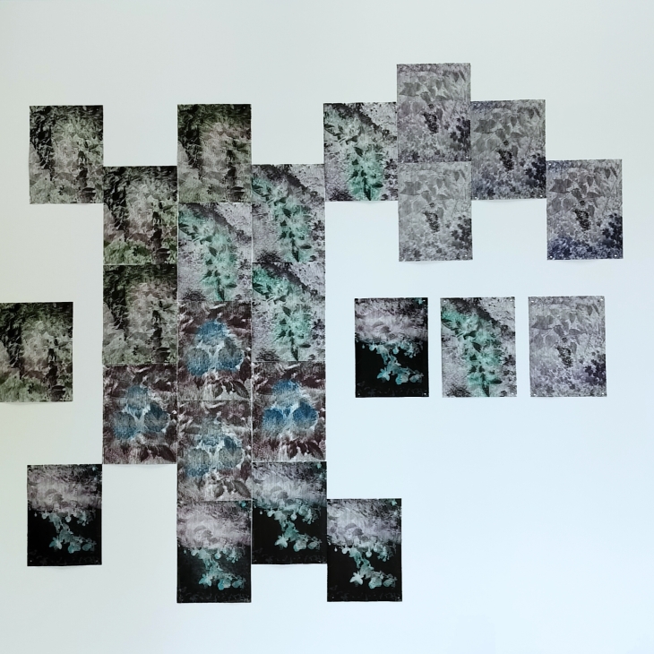 A Garden that Does Not Exist: Lilacs, Dahlias, Lilies, and Fuchsias by Iida K. Kilpeläinen