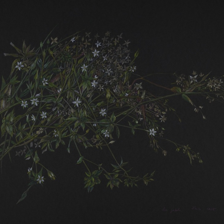 Weeds by Ene Jakobi