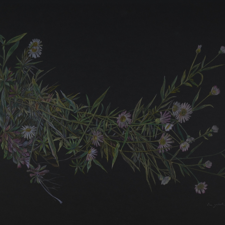 Weeds by Ene Jakobi