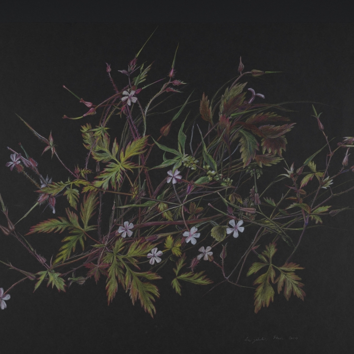 Weeds by Ene Jakobi