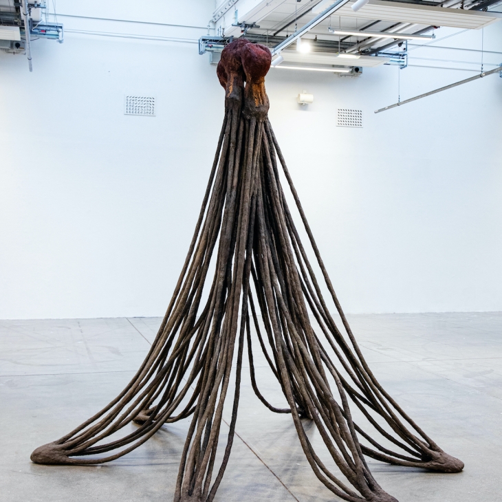 Mirroring by Amalia Wänmn