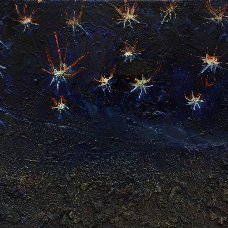 Near stars by Evelīna Paula Zandere