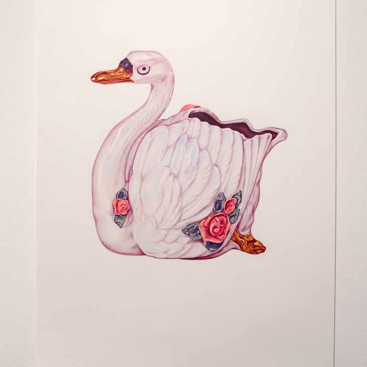 Dying swan - Saulė Budriūnaitė
