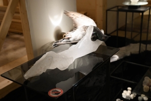 19.09.2019 Academy exhibtion Arsenale opening (61 of 74)
