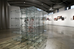 17.09-avamised-fotod-Andra-Orn-16-of-27