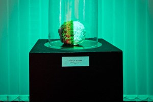 Art-Tonic-talveoksjon-20-11
