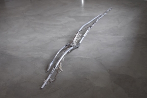 Nadia Naveau. Les Bois de Construction de Saint-Bonnet-Tronçais, 2012.