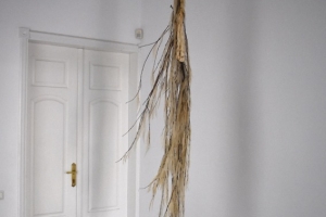 Catherine Biocca . FULL TIME TRAGEDY, 2016.
