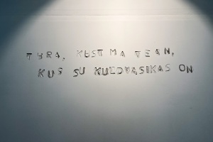 Photos-Meriem-Kimmer.-TASE-23-opening-12