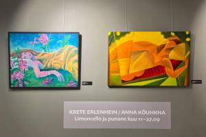 EKO-facebooki-lehelt