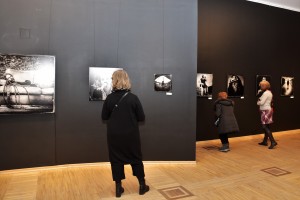 FOT_0029