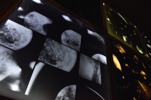 FOT_0155