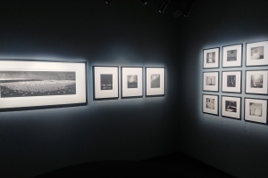 Fotografiska Tallinn