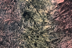 Fresh meat for critique