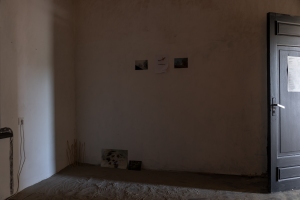 2024-06-01_TASE_tif-62