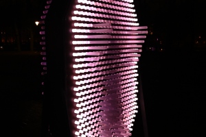 DSC_0345