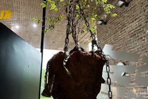 Uniarts-2023-MFA-graduation-show