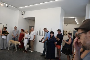 20-DSC_4242